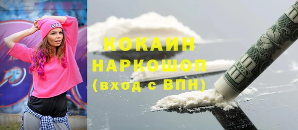 стаф Богданович