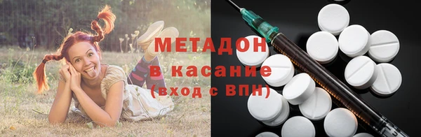 стаф Богданович