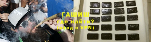 стаф Богданович