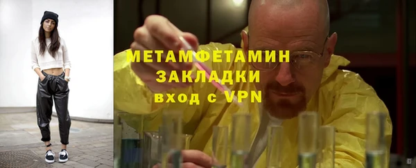 стаф Богданович