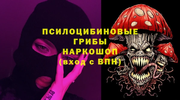 мдпв Богородск
