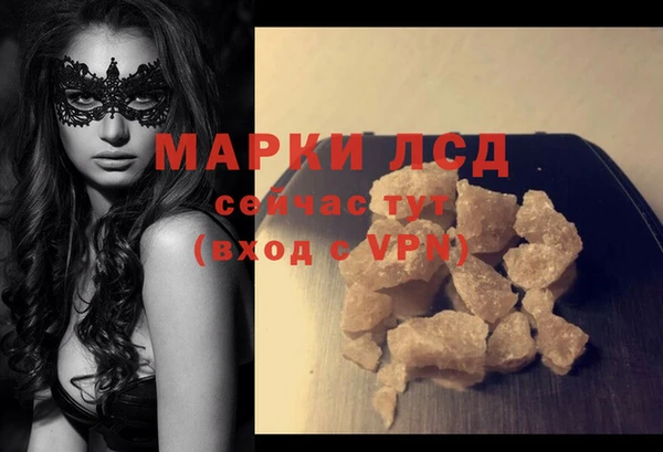 стаф Богданович