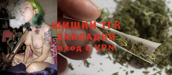 мдпв Богородск