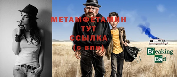 стаф Богданович