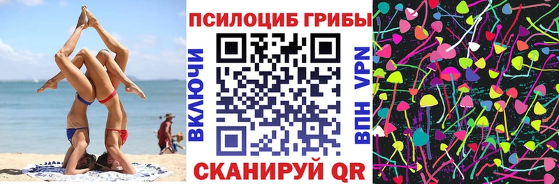 Купить закладки Белая Холуница Галлюциногенные грибы ЛСД